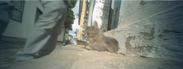 Pinhole Paraty Beth Lee