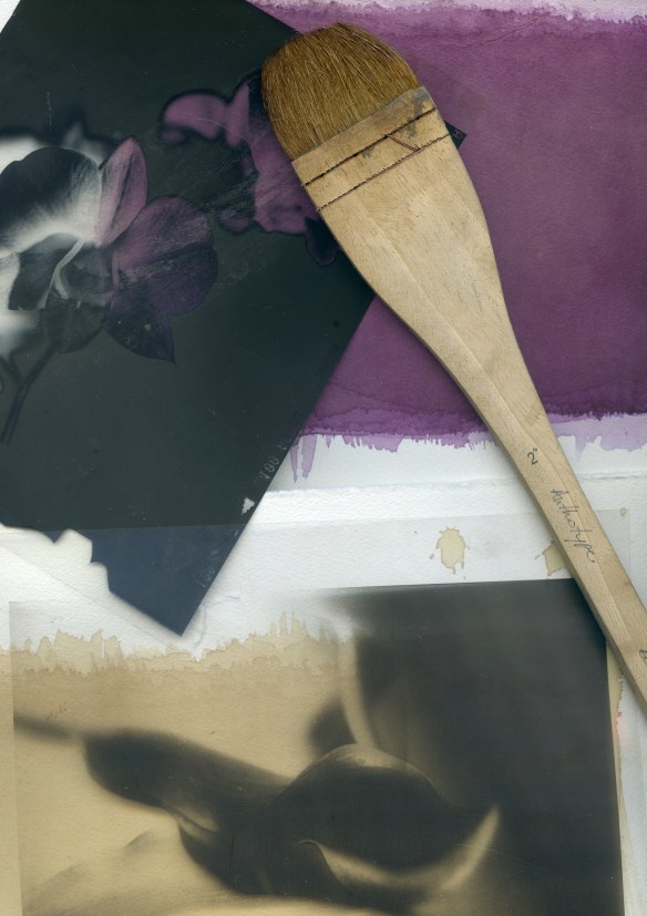 Anthotype-Divulgação001