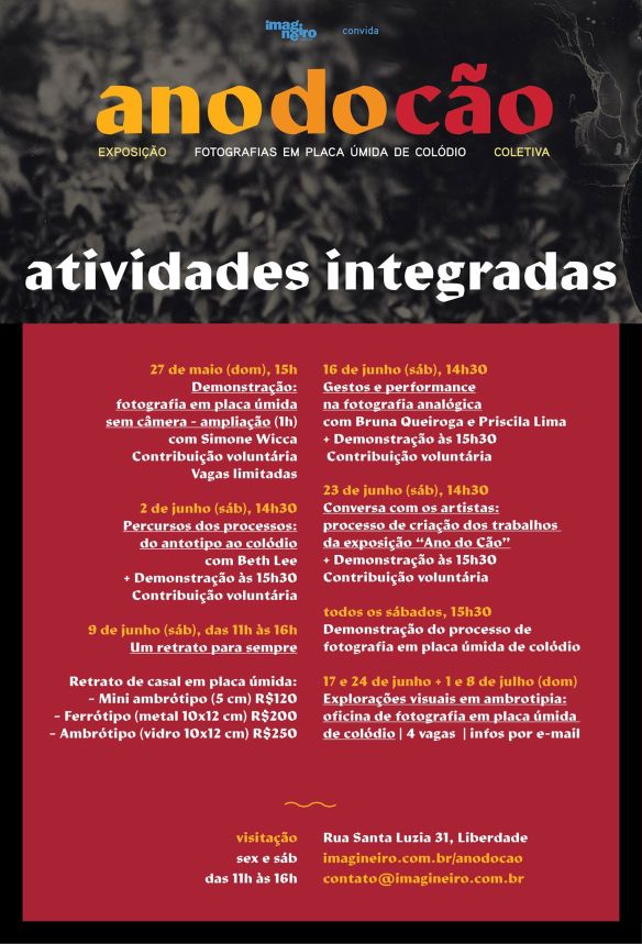 Atividadesintegradas-Anodocao