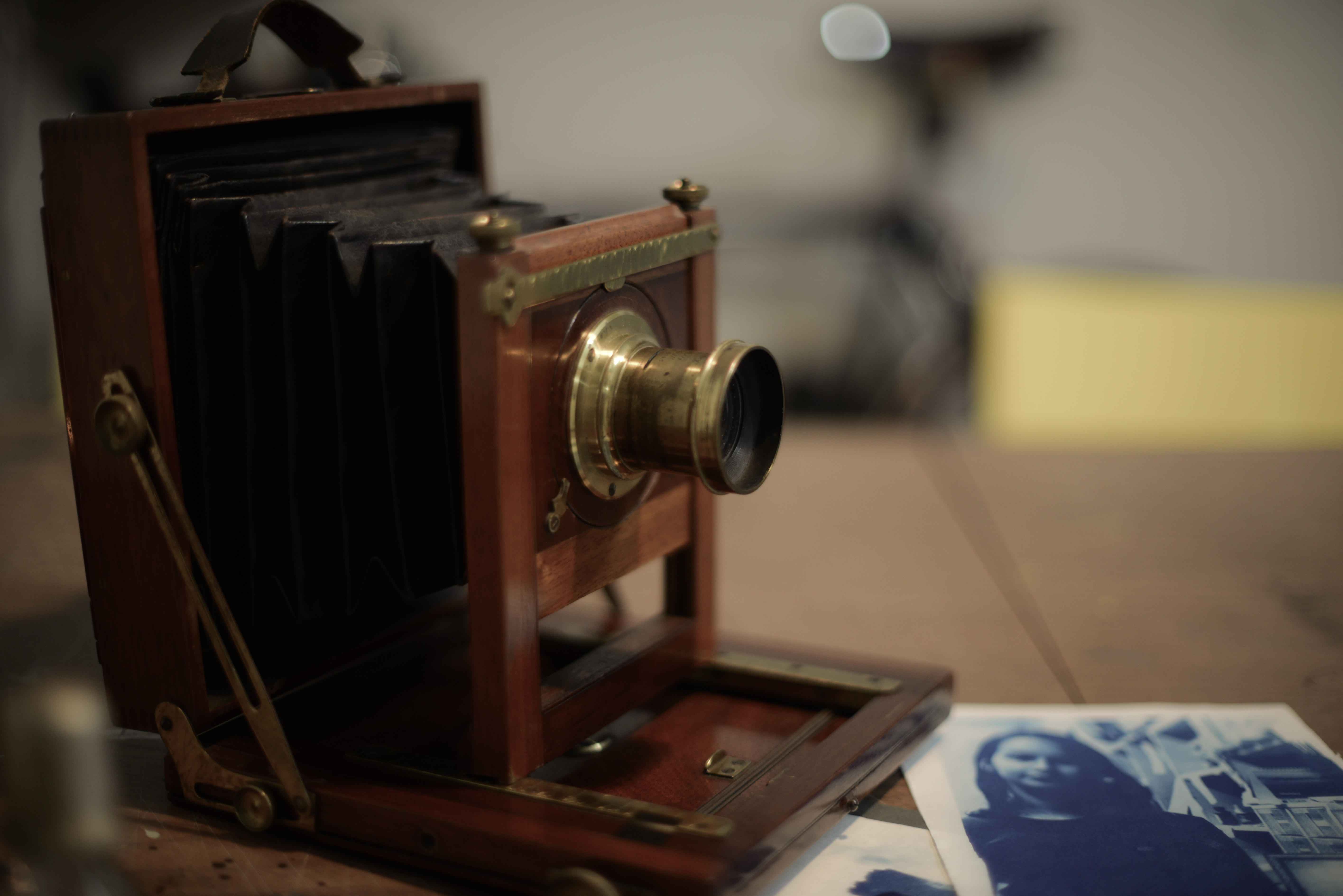 Divulga-Retrato-CameraMadeira-BethLee